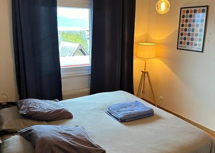 Joli Terrasse Montreux شقة